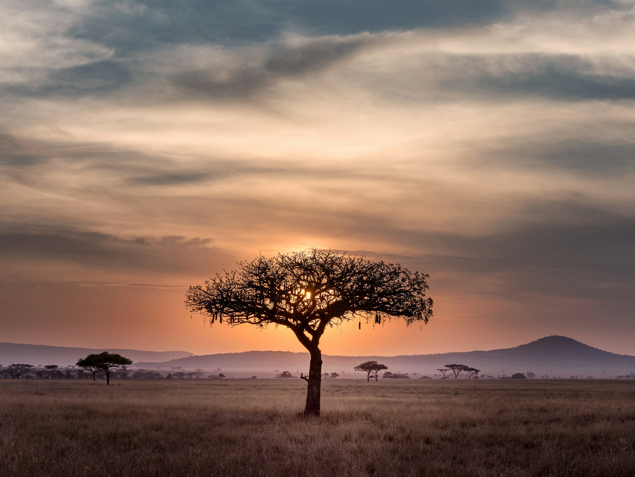 South Africa & Lesotho