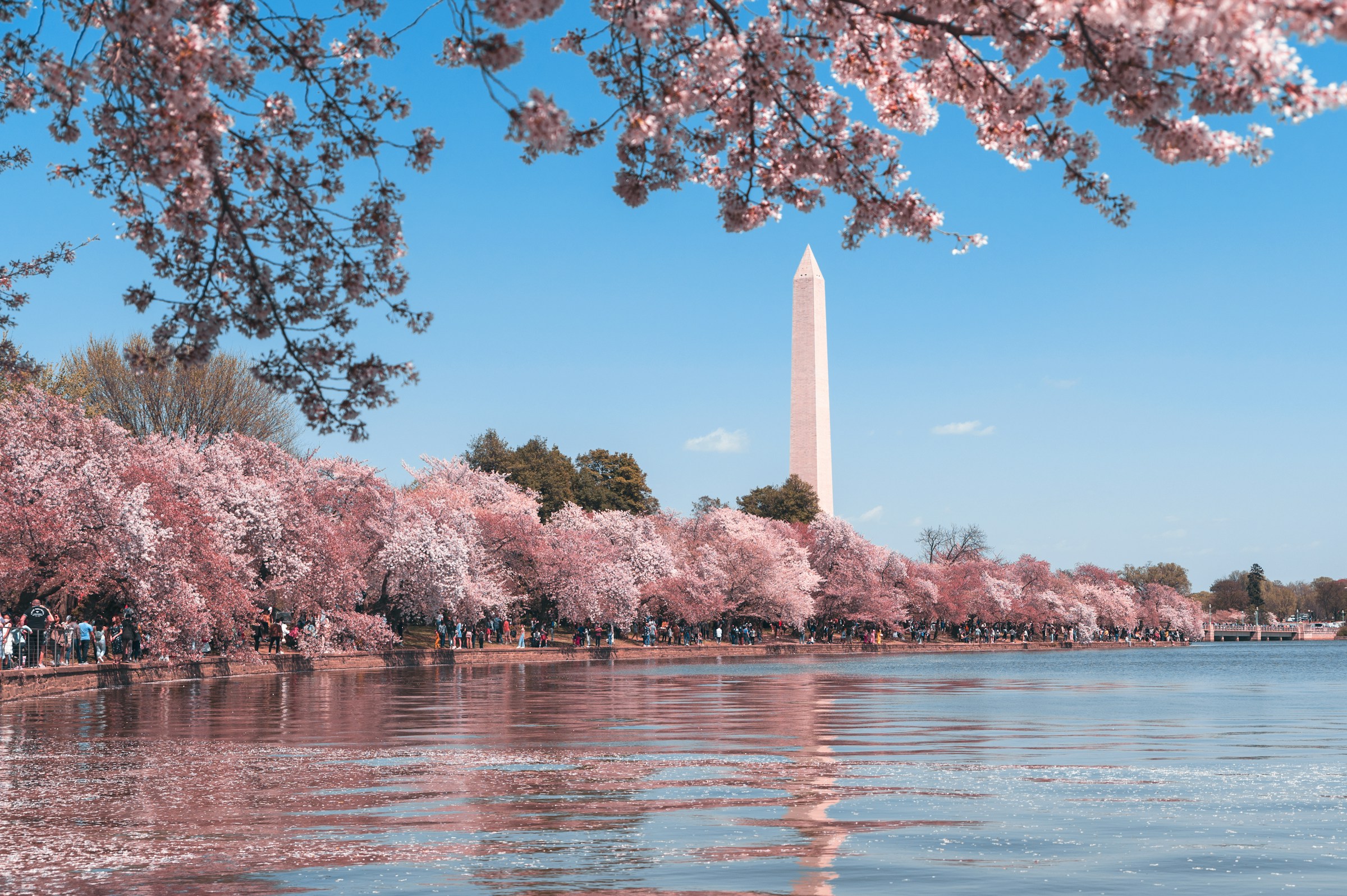 New York City & D.C.